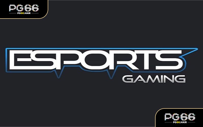 Esport PG66 - Trải Nghiệm Trong Đấu Trường Thể Thao Điện Tử - NA68.PRO