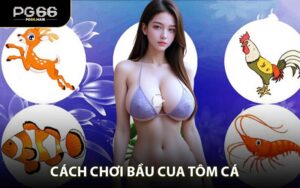 Casino PG66: Trải Nghiệm Đỉnh Cao Sòng Bài Chân Thực Ngay Tại Nhà - NA68.PRO