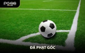 Thế Giới Thể Thao PG66 - Kèo Đa Dạng Tỷ Lệ Cực Hấp Dẫn - NA68.PRO